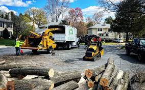 Pest Control for Lawns in Wantagh, NY