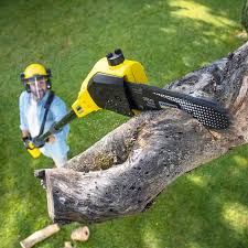 Best Lawn Maintenance Plans  in Wantagh, NY